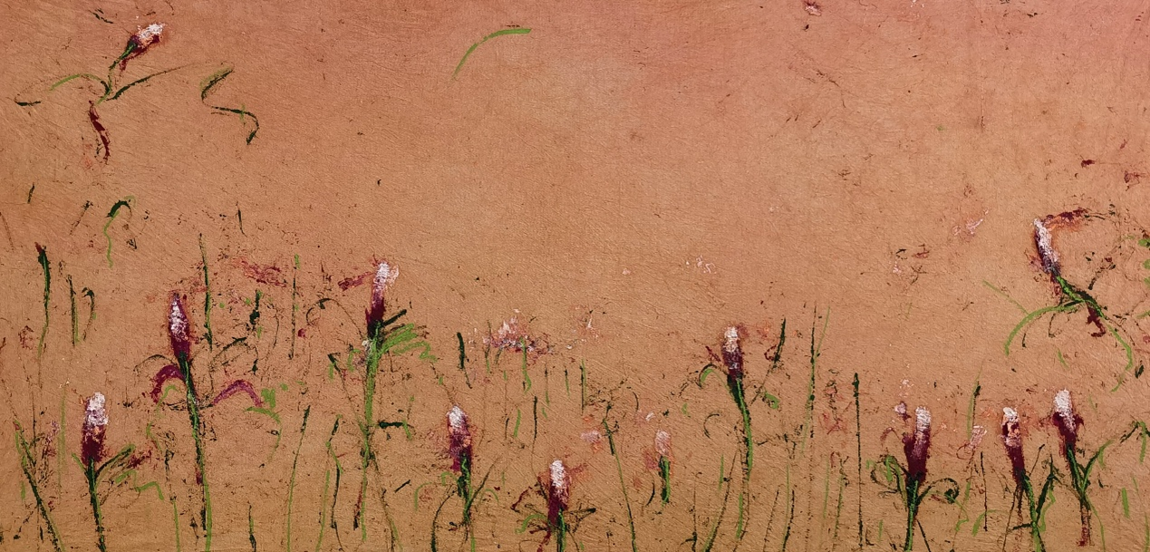 Wildflowers You Planted