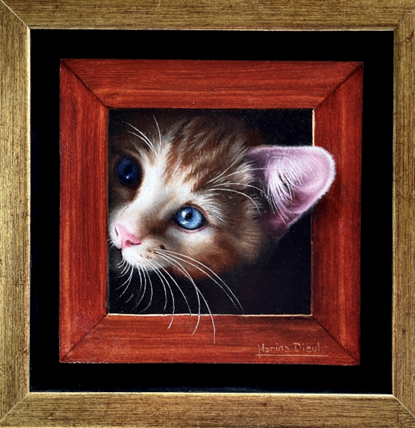 Lovely Creature-Miss Catty with Blue Eyes