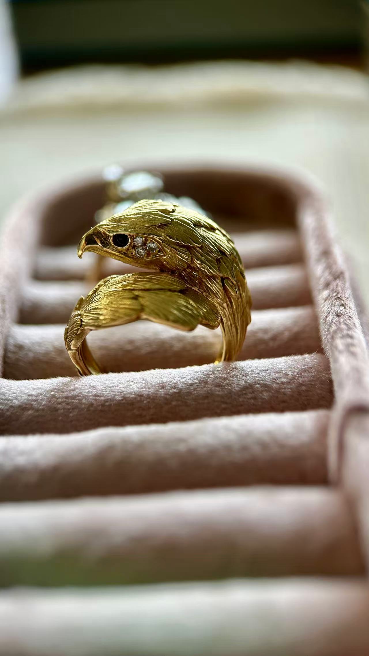 Eagle Ring by J.P.Berlin