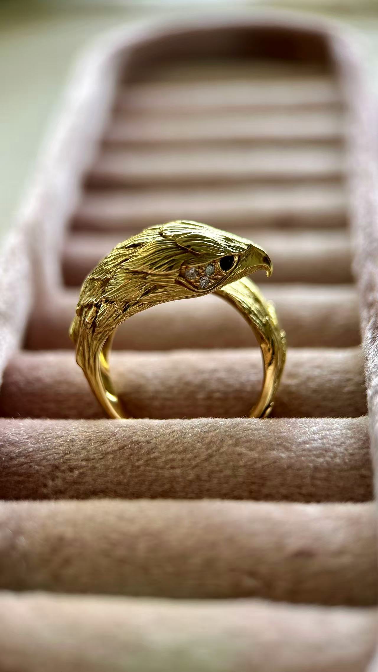 Eagle Ring by J.P.Berlin