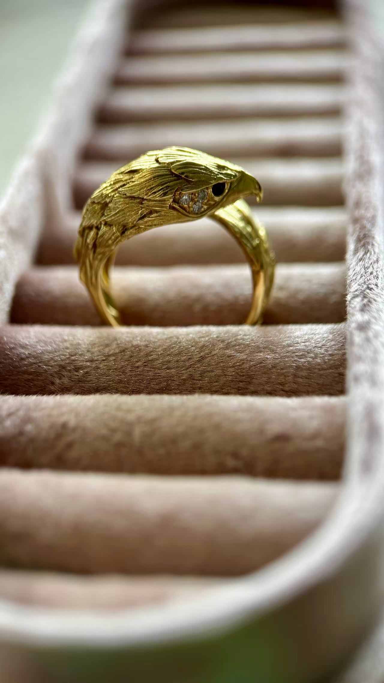 Eagle Ring by J.P.Berlin
