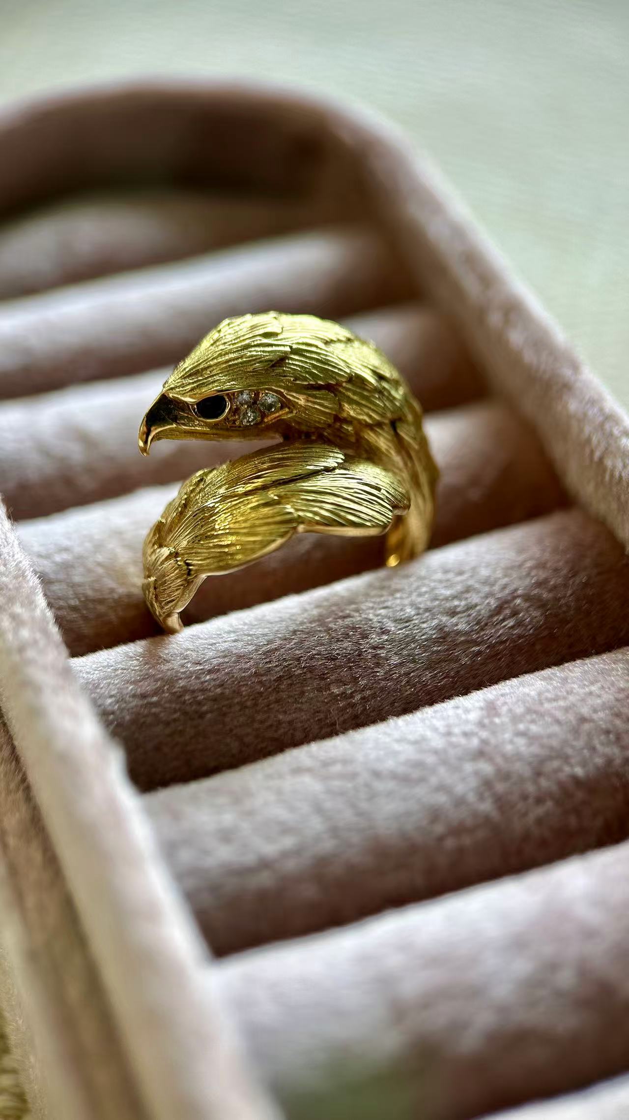 Eagle Ring by J.P.Berlin